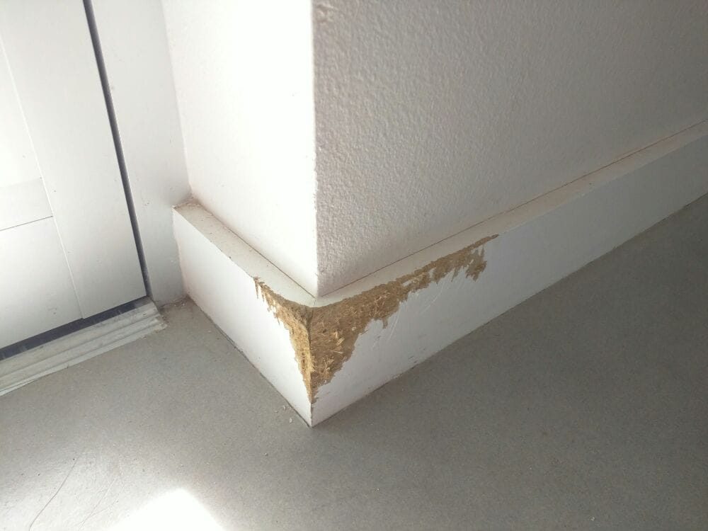 Baseboard corner before the repair